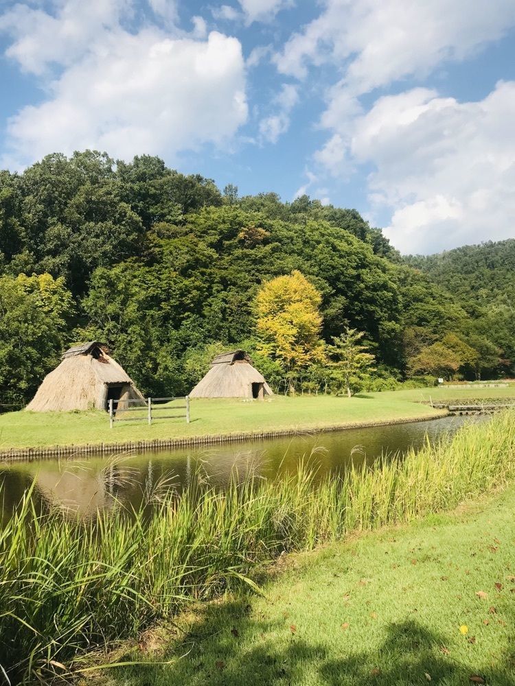 猫なぎ。さんが投稿したまほろば古の里歴史公園に関する口コミの画像