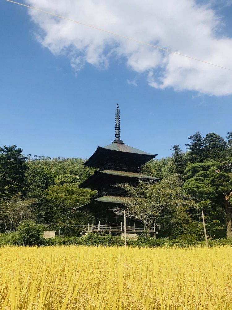 猫なぎ。さんが投稿した安久津八幡神社に関する口コミの画像
