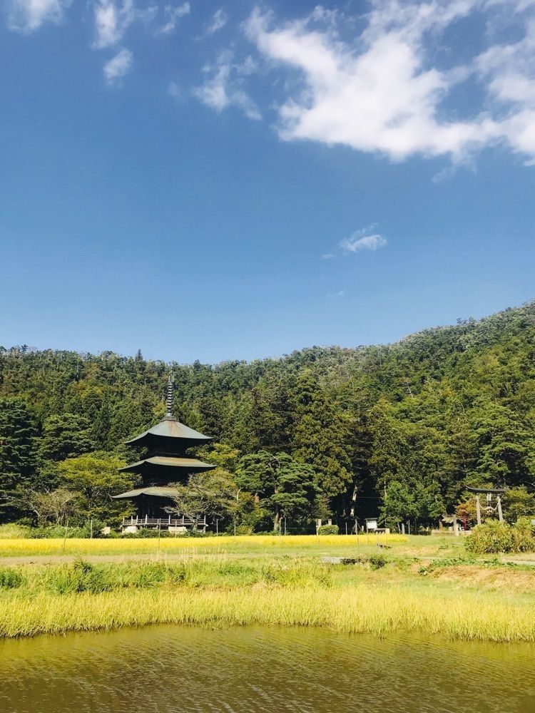 猫なぎ。さんが投稿した安久津八幡神社に関する口コミの画像