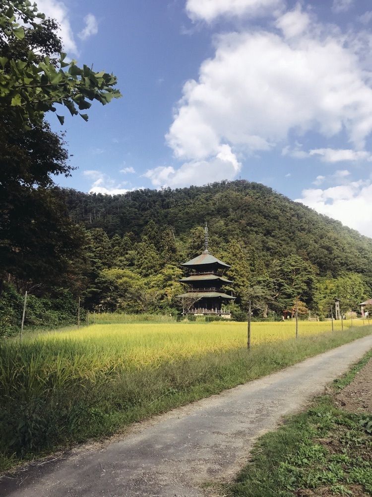 猫なぎ。さんが投稿した安久津八幡神社に関する口コミの画像