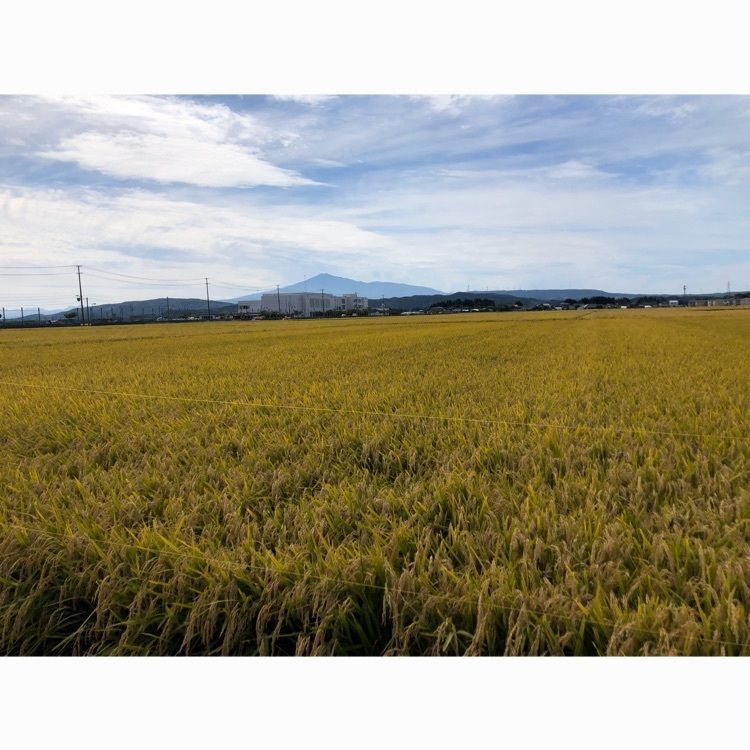 akariさんが投稿した日本国花苑に関する口コミの画像