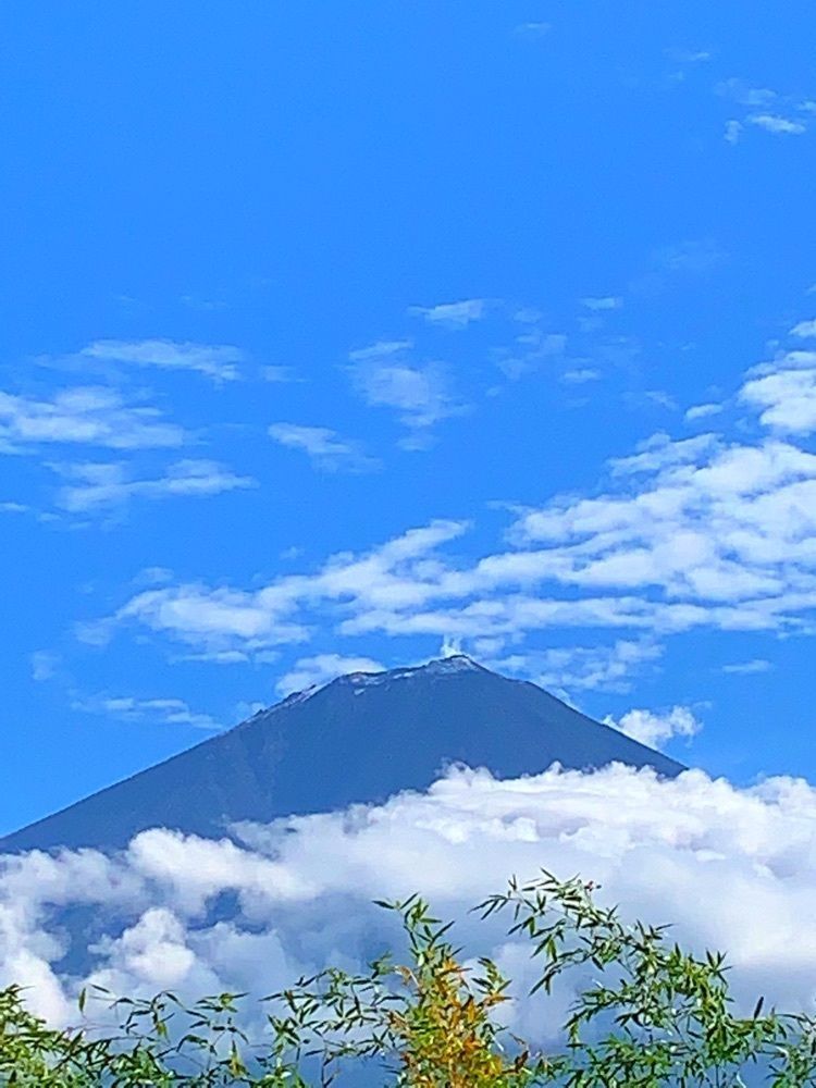 ウッチーさんが投稿した工藤祐経の墓に関する口コミの画像