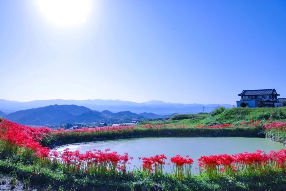 satomi24さんが投稿した菩提寺（奈良県御所市）に関する口コミの画像