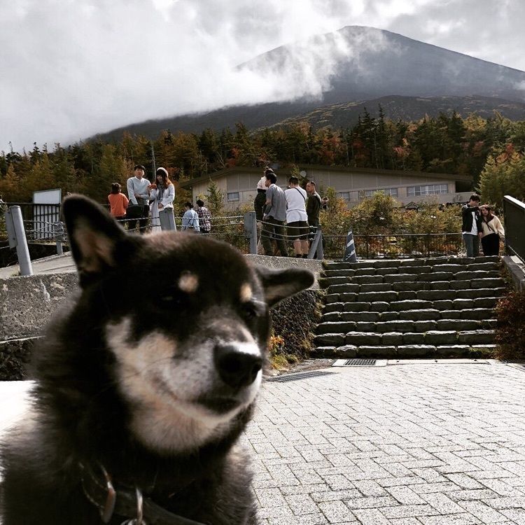 TERUKOBAさんが投稿した富士山五合目に関する口コミの画像