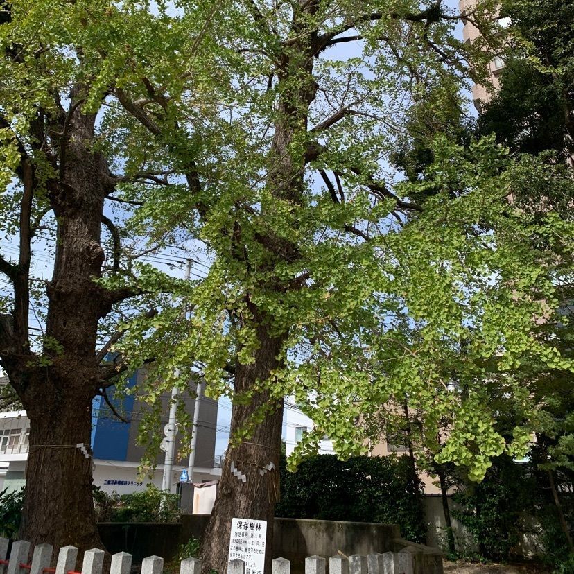 かおるさんが投稿した日吉神社に関する口コミの画像