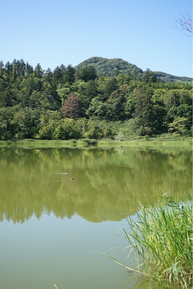 merryさんが投稿した姫沼に関する口コミの画像