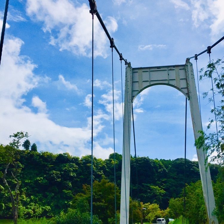 さーとし1018さんが投稿した湖畔の宿　つばきもとに関する口コミの画像