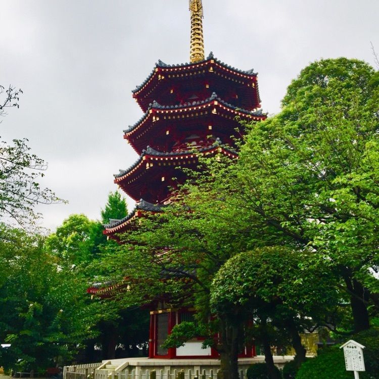 さーとし1018さんが投稿したえぞ丸 川崎大師店に関する口コミの画像