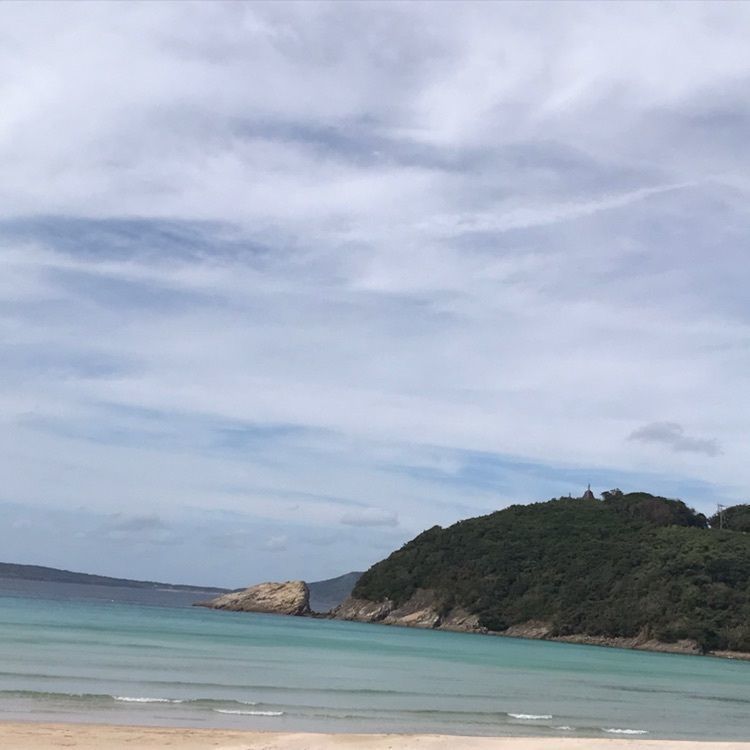 ひぃさんが投稿した高浜海水浴場に関する口コミの画像