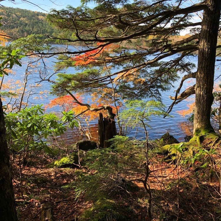 retro_hiking_a6ccさんが投稿した青苔荘に関する口コミの画像