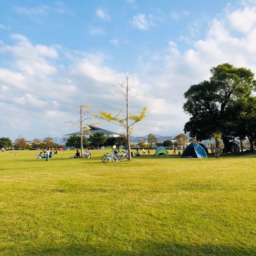 freeさんが投稿した今津運動公園に関する口コミの画像