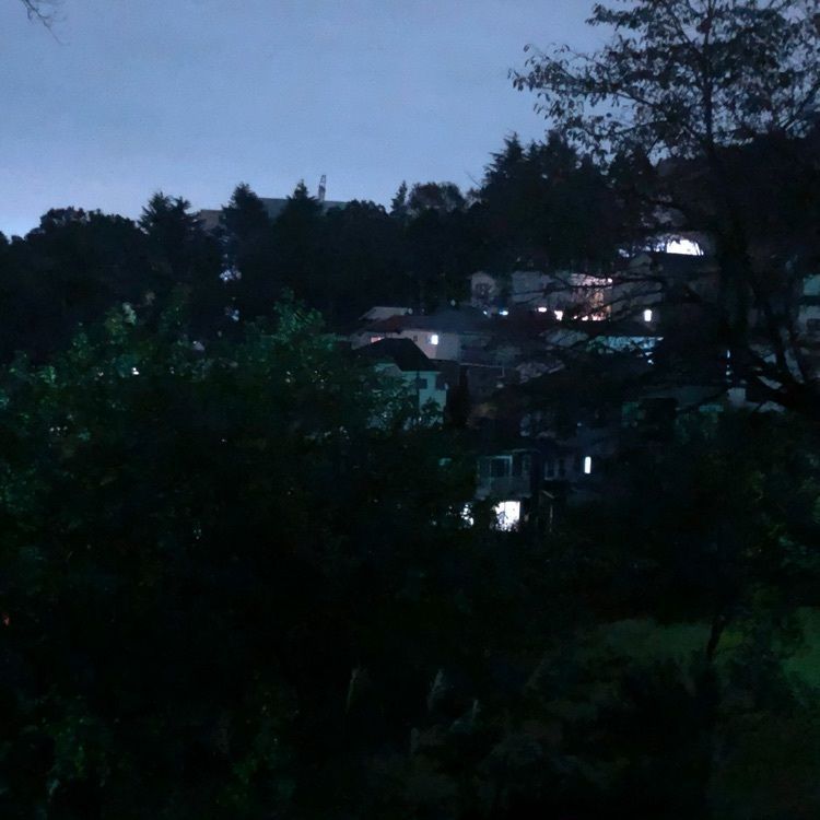 タッキーさんが投稿した小田急電鉄玉川学園前駅に関する口コミの画像