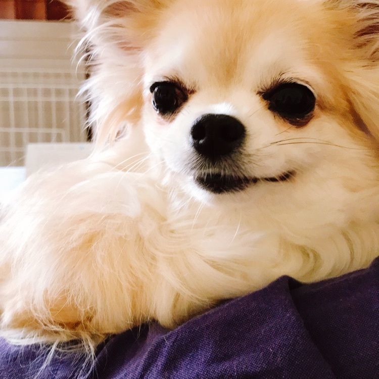 Tomocoさんが投稿した奥志賀高原ホテルに関する口コミの画像