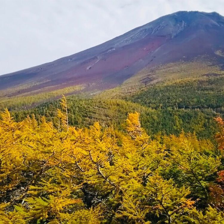 madone_takeshiさんが投稿した御庭・奥庭に関する口コミの画像