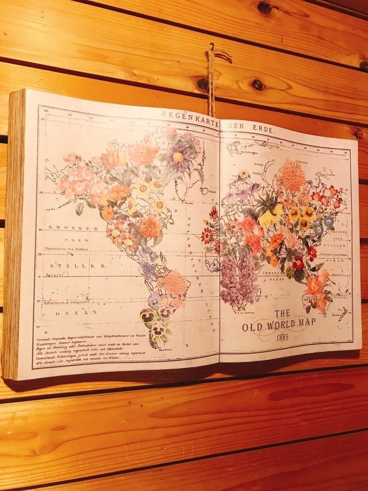 猫なぎ。さんが投稿したcafe mamenoki（カフェ マメノキ）に関する口コミの画像