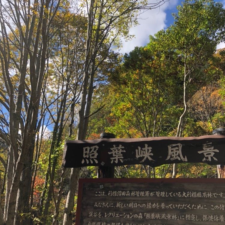 かよこさんが投稿した照葉狭に関する口コミの画像