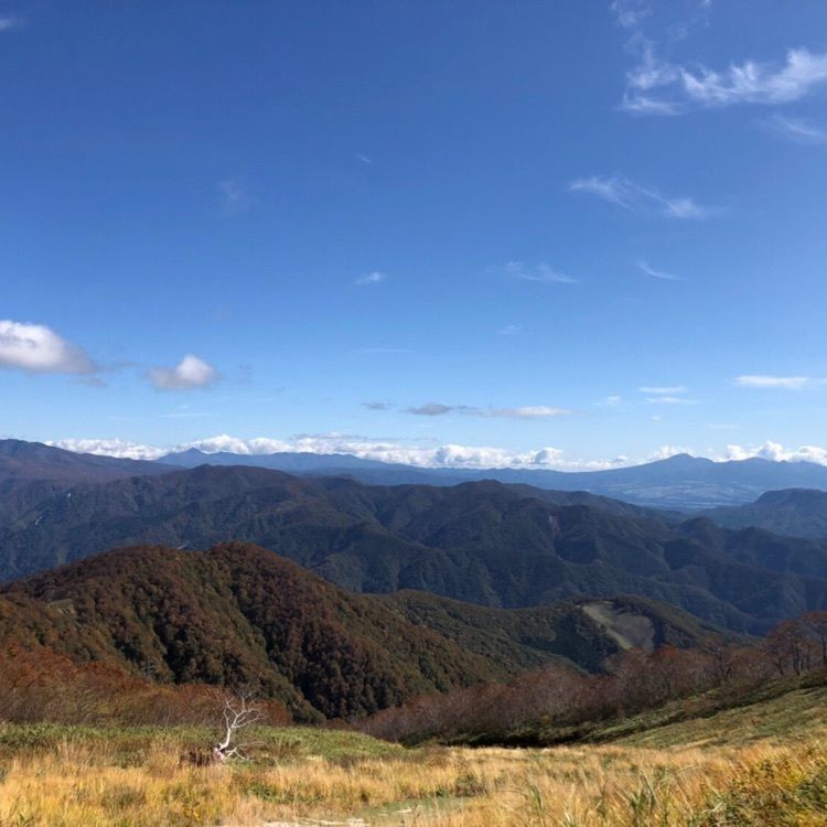 かよこさんが投稿した天神峠リフトに関する口コミの画像
