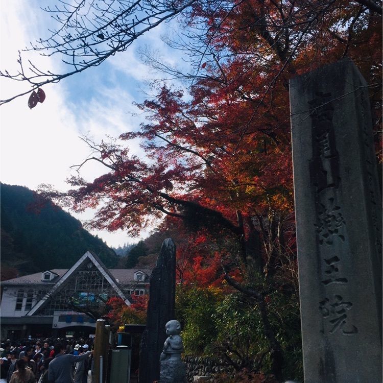 さーとし1018さんが投稿した高尾山に関する口コミの画像