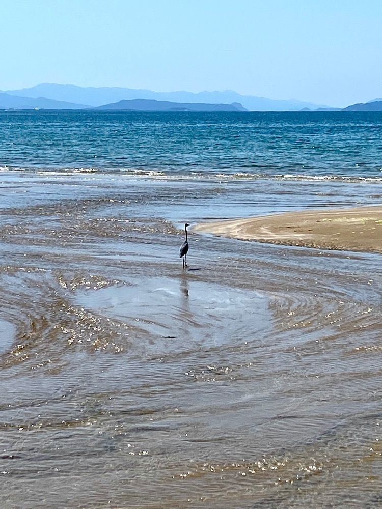 Rhapsodyさんが投稿したセブンイレブン 福間海岸通りに関する口コミの画像