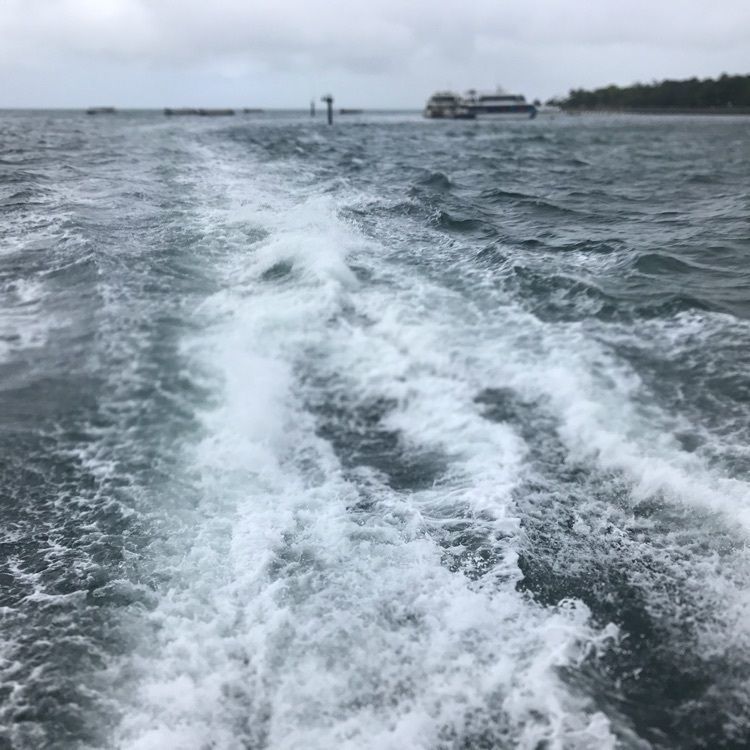 potato521さんが投稿したGreen Islandに関する口コミの画像