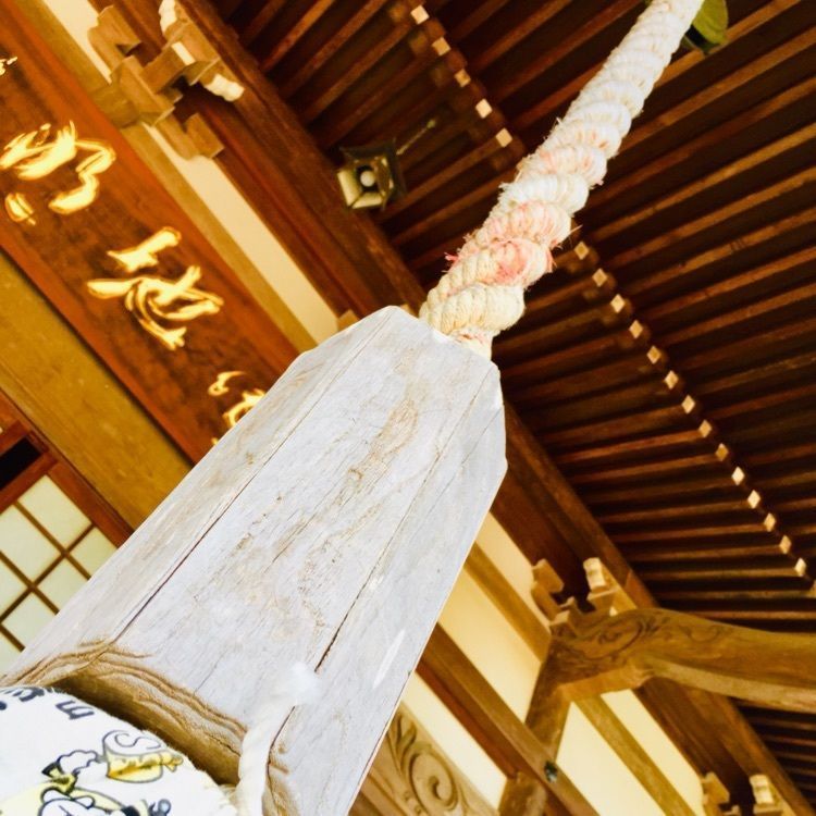 さーとし1018さんが投稿した妙隆寺に関する口コミの画像