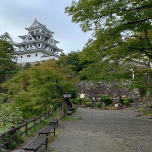郡上八幡城