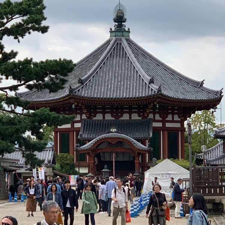 よしみんさんが投稿した奈良・猿沢池前　旅館 江泉に関する口コミの画像