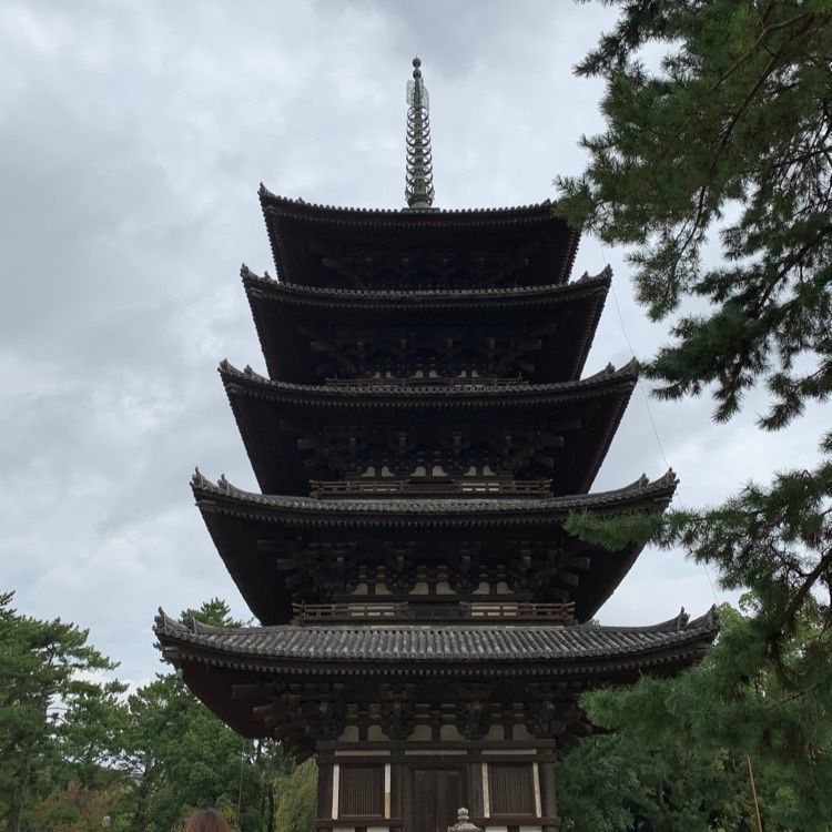 よしみんさんが投稿した奈良・猿沢池前　旅館 江泉に関する口コミの画像