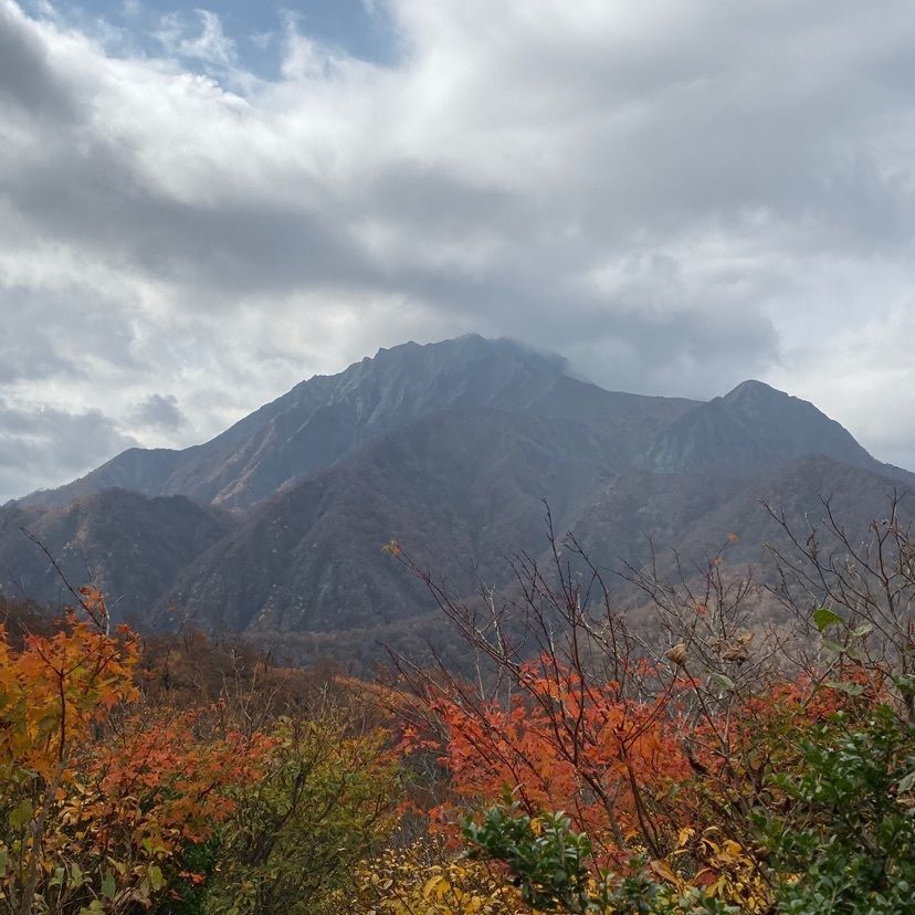 Mac23さんが投稿したお食事処いわなやに関する口コミの画像