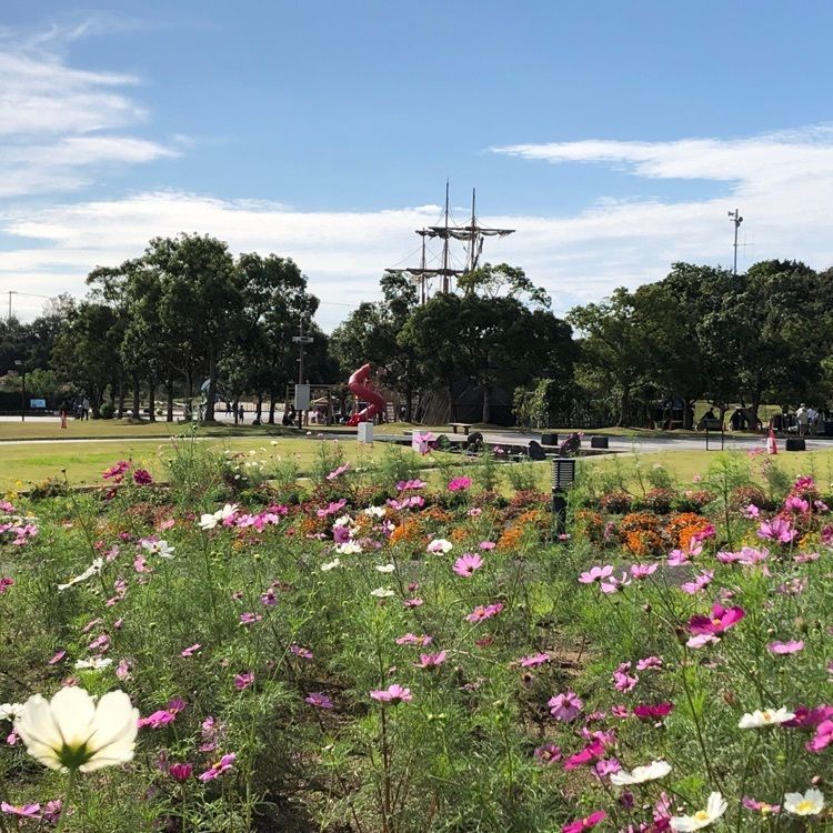 serenaさんが投稿した新庄総合公園に関する口コミの画像