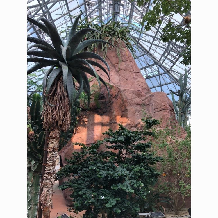mimiさんが投稿したときわミュージアム熱帯植物園ヒスイカズラに関する口コミの画像