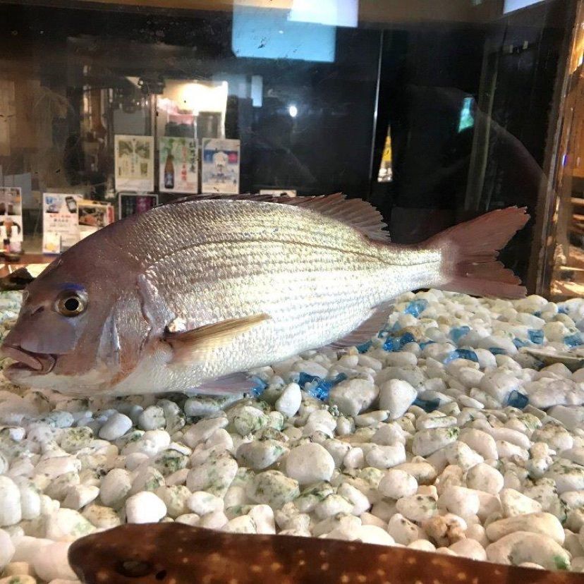 syoukenmamaさんが投稿した海鮮問屋 海ぼうず 西那須野店に関する口コミの画像