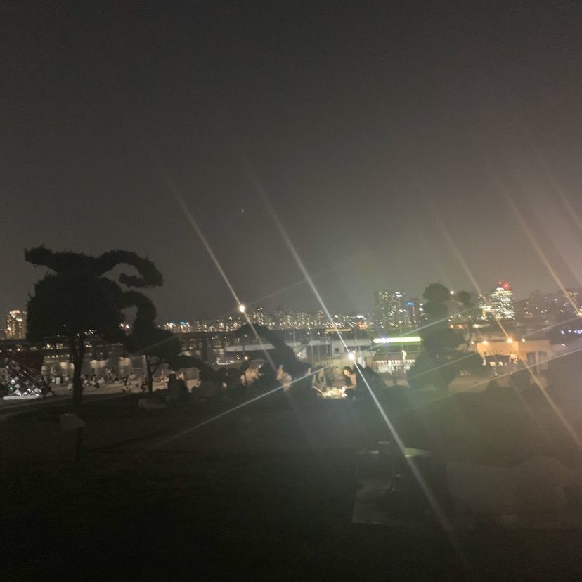 yk0220さんが投稿した汝矣島漢江公園に関する口コミの画像