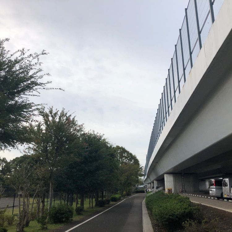 タッキーさんが投稿した海老名運動公園に関する口コミの画像