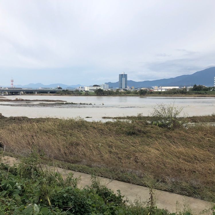 タッキーさんが投稿した海老名運動公園に関する口コミの画像
