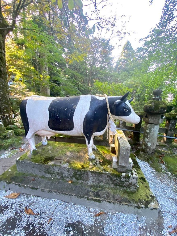 Rhapsodyさんが投稿した高住神社に関する口コミの画像