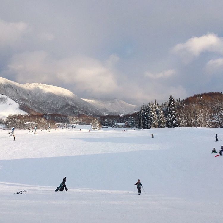 potato521さんが投稿した北志賀高原小丸山に関する口コミの画像