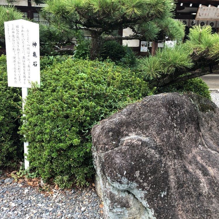 takeさんが投稿した砥鹿神社に関する口コミの画像