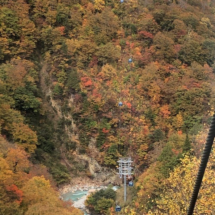 モコさんが投稿した電力ミュージアムOKKY（奥清津発電所）に関する口コミの画像