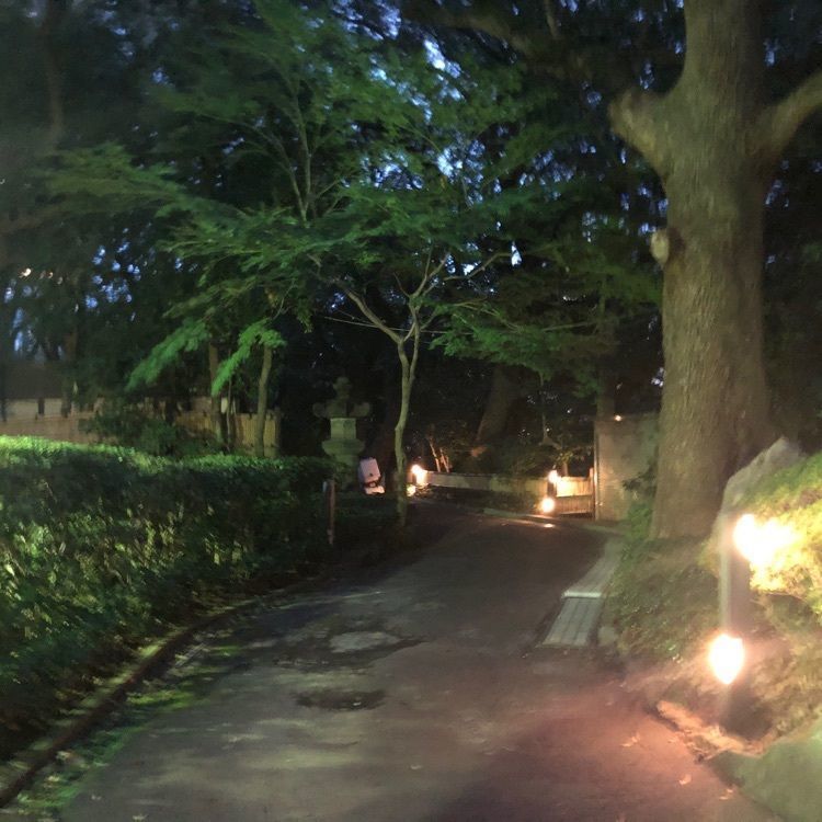 タッキーさんが投稿した石心亭（セキシンテイ）に関する口コミの画像