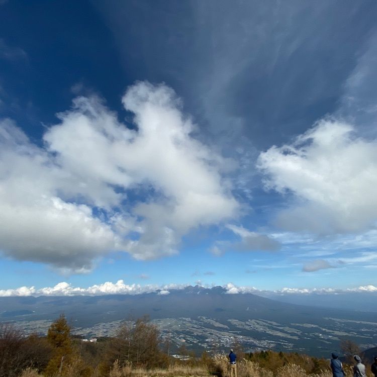 wonderful_street_830dさんが投稿した入笠山のレンゲツツジに関する口コミの画像