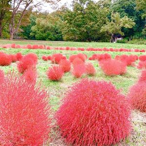 甘樫丘万葉展望台 5枚目