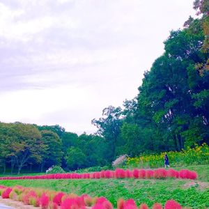 甘樫丘万葉展望台 8枚目