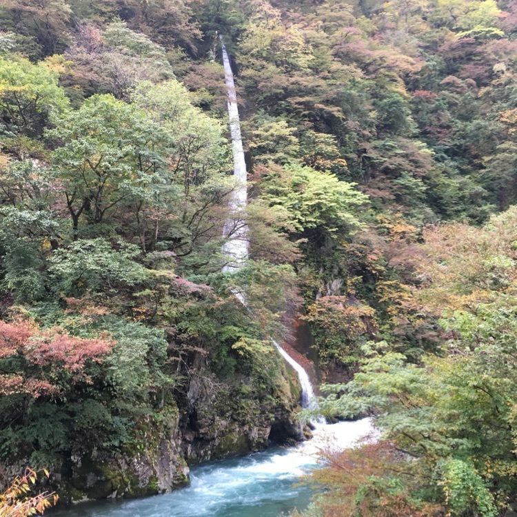 tomotomoさんが投稿した刈込池に関する口コミの画像