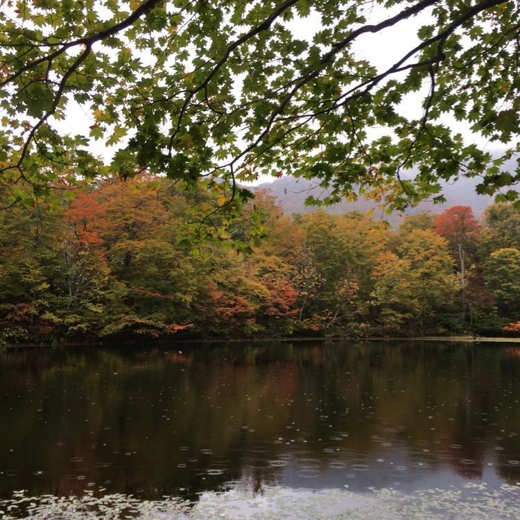 tomotomoさんが投稿した刈込池に関する口コミの画像