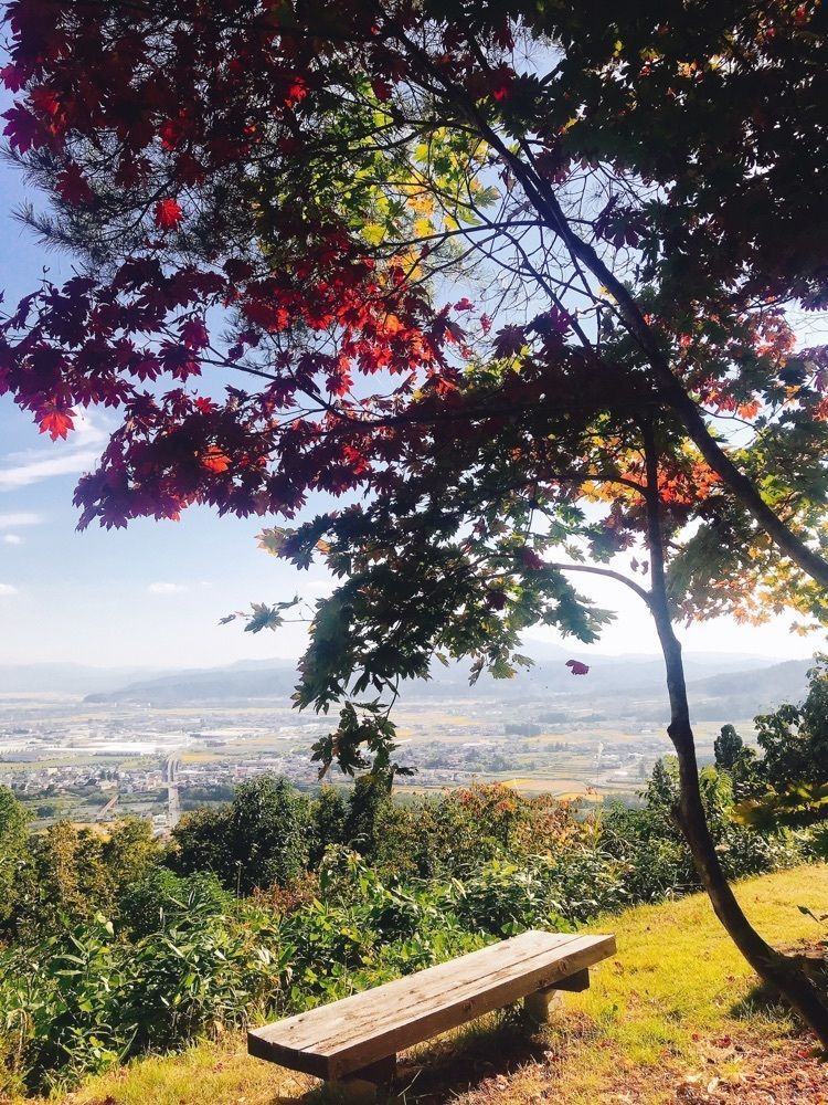 猫なぎ。さんが投稿した慈恩寺公園に関する口コミの画像