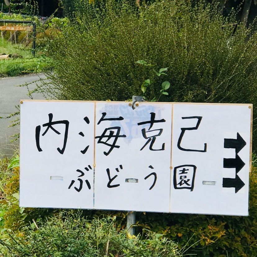 syoukenmamaさんが投稿した太平山南山麓ブドウ狩りに関する口コミの画像