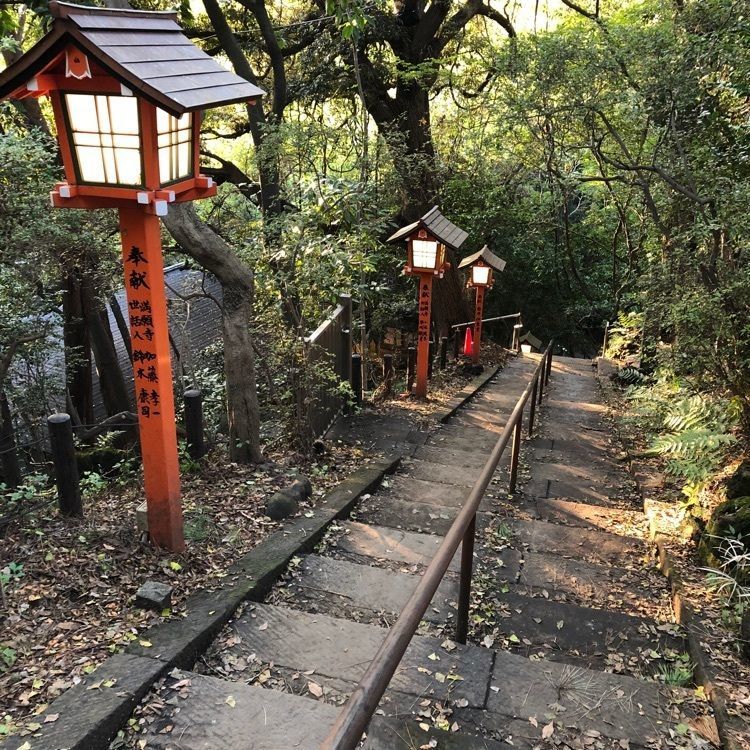 天才ゆっちドクター❤️さんが投稿した等々力渓谷に関する口コミの画像