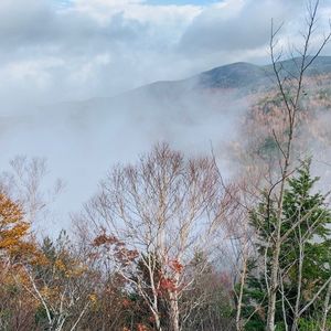 天元台高原