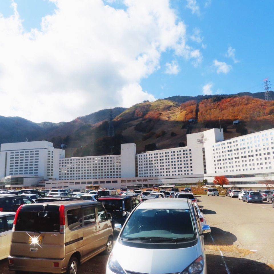 yoshiさんが投稿した画像の画像